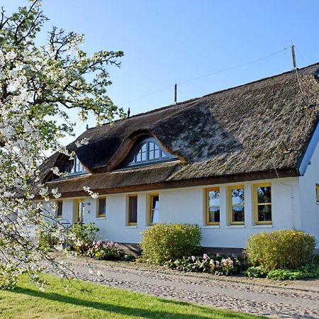 Ferienwohnungen Im Fischerdorf Und Neu Reddevitz ภายนอก รูปภาพ