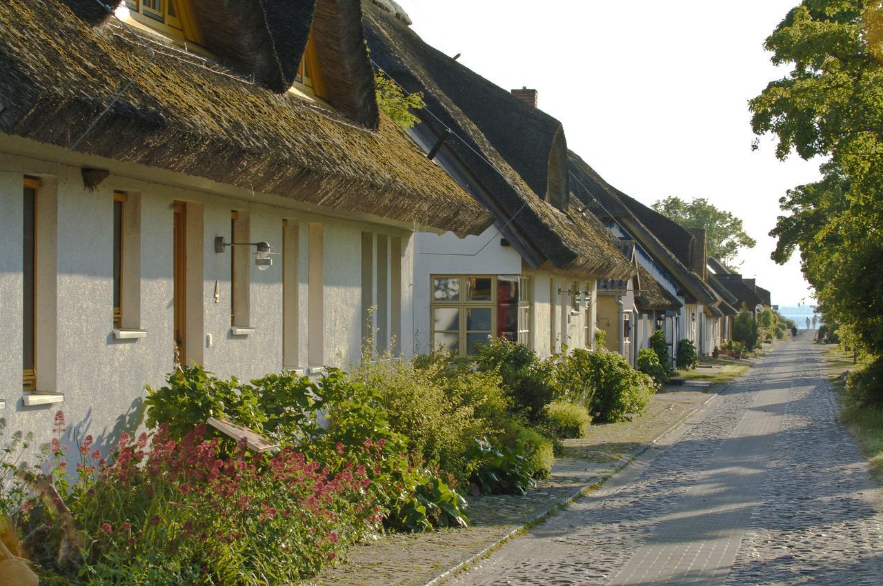 Ferienwohnungen Im Fischerdorf Und Neu Reddevitz ภายนอก รูปภาพ