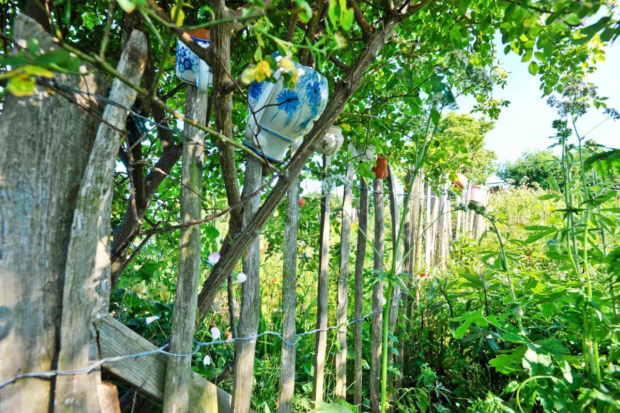 Ferienwohnungen Im Fischerdorf Und Neu Reddevitz ภายนอก รูปภาพ