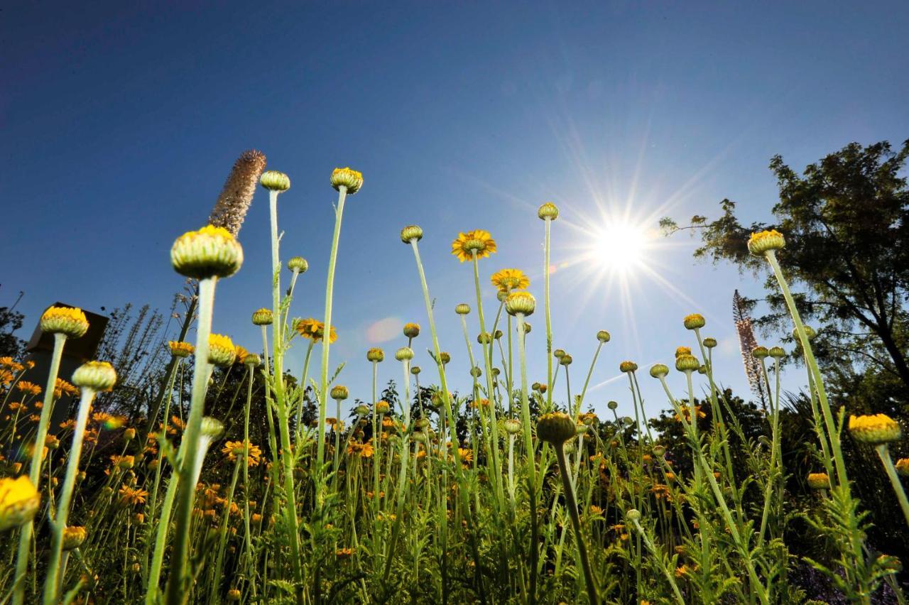 Ferienwohnungen Im Fischerdorf Und Neu Reddevitz ภายนอก รูปภาพ