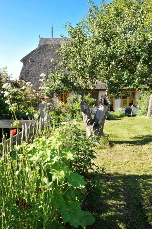 Ferienwohnungen Im Fischerdorf Und Neu Reddevitz ภายนอก รูปภาพ