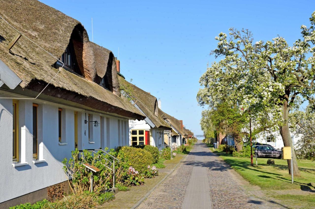 Ferienwohnungen Im Fischerdorf Und Neu Reddevitz ภายนอก รูปภาพ