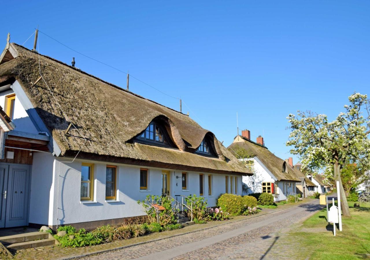 Ferienwohnungen Im Fischerdorf Und Neu Reddevitz ภายนอก รูปภาพ
