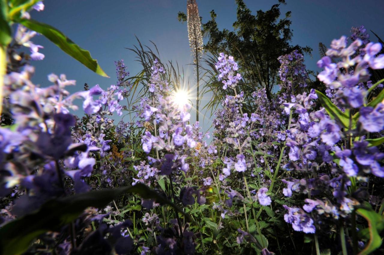 Ferienwohnungen Im Fischerdorf Und Neu Reddevitz ภายนอก รูปภาพ